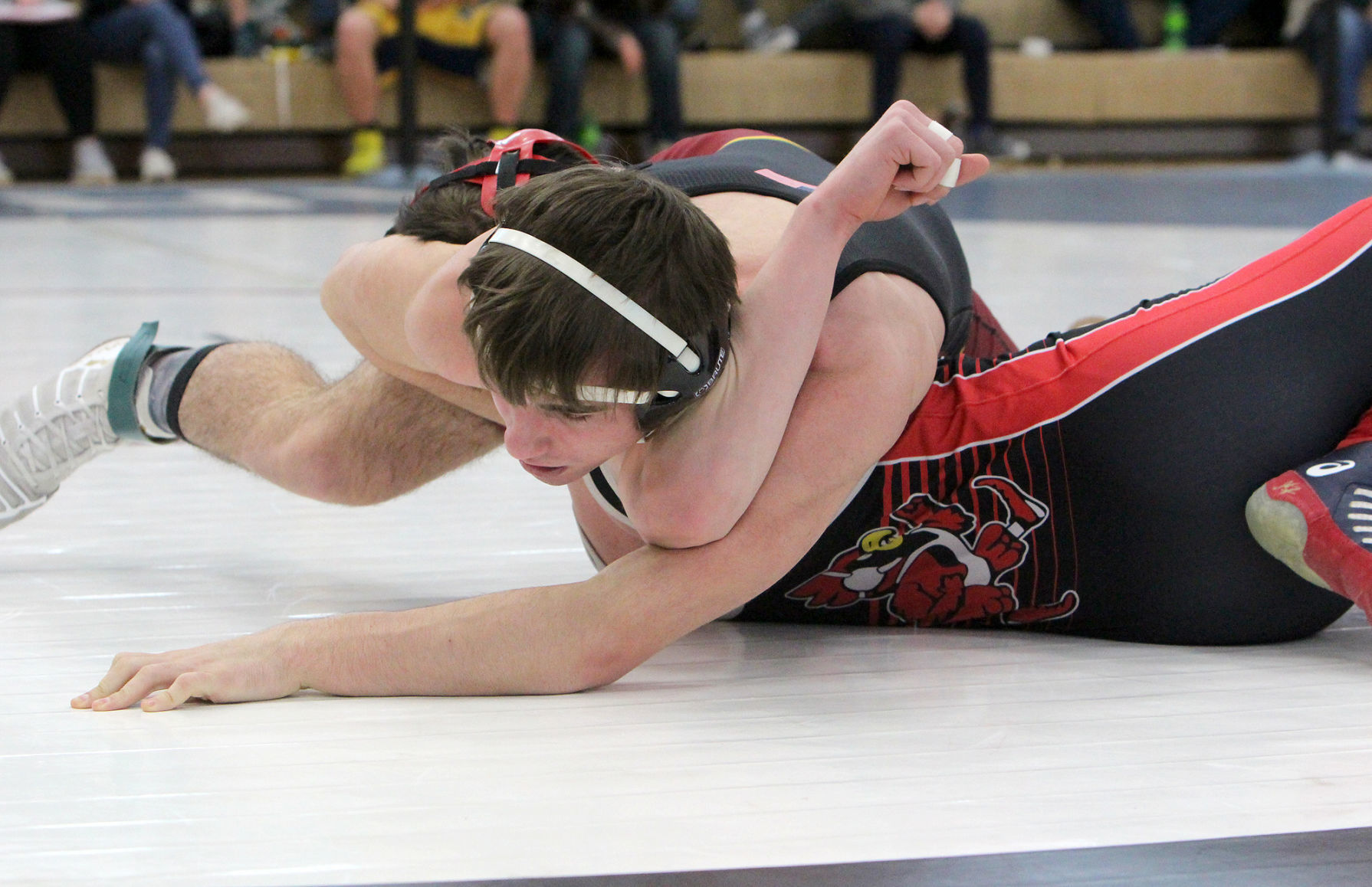 Division 1 wrestling regional at Chippewa Falls 2-9-19